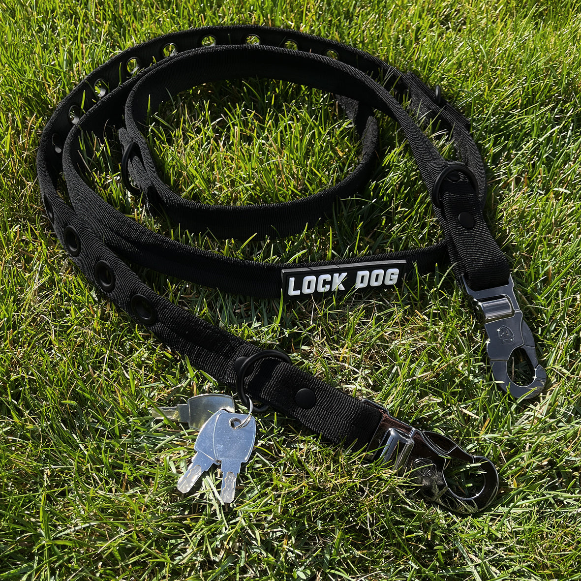 LOCK DOG Hundeleine & Halsband 2.0 abschließbar und bissfest
