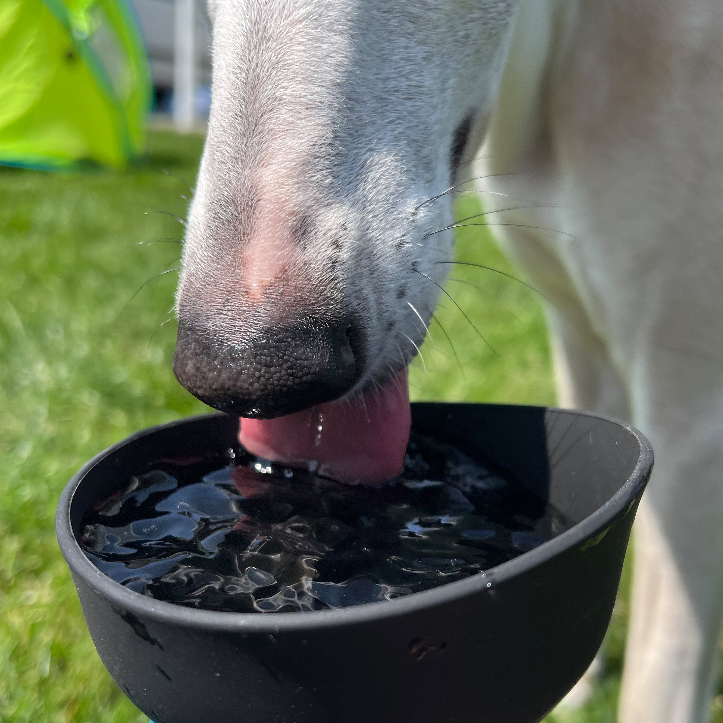 drinking bottle