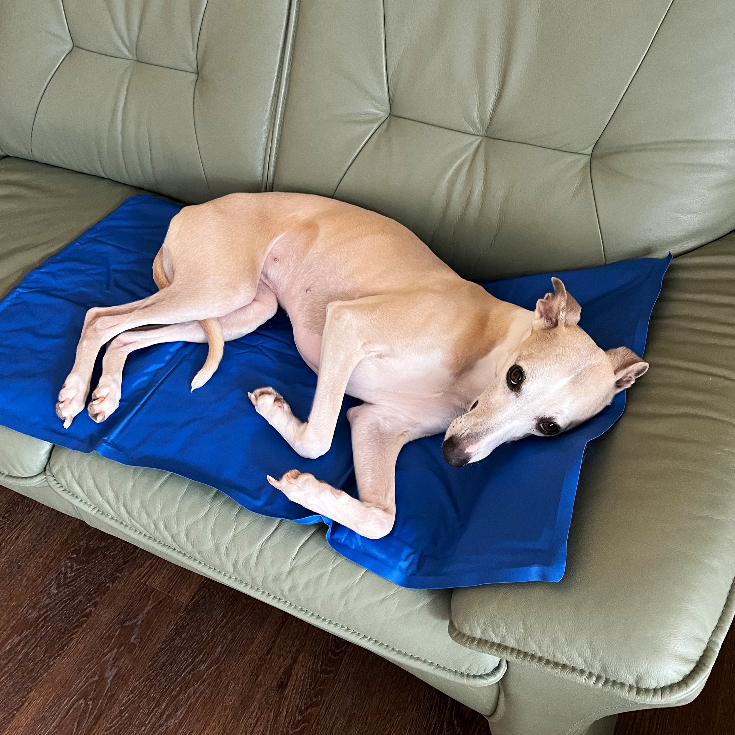 360 dog waste bags biodegradable