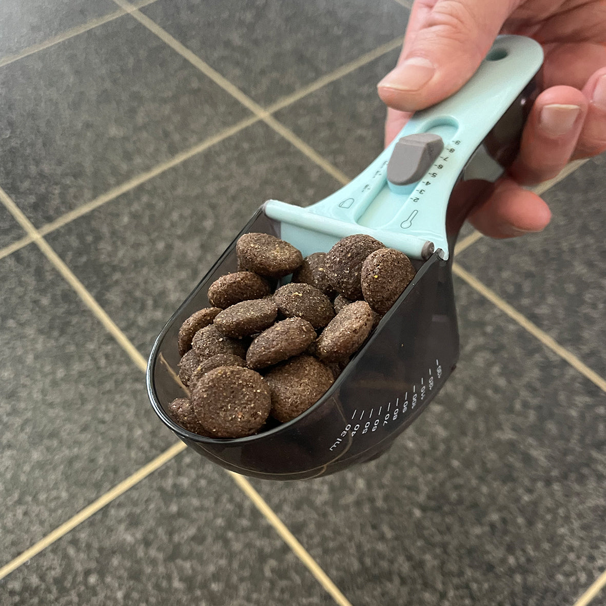 Measuring spoons for dog food and liquids