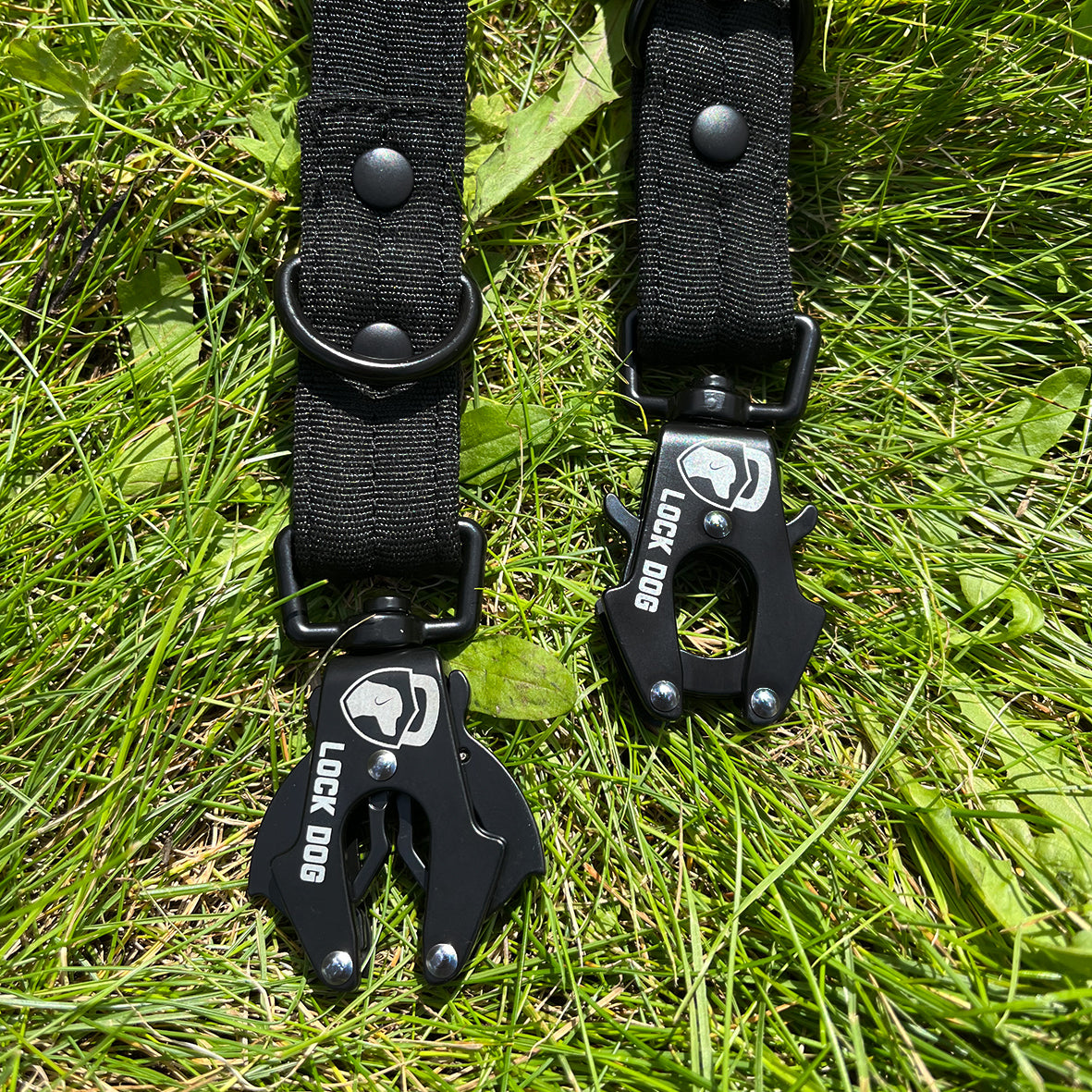 LOCK DOG bissfeste Hundeleine mit Frosch-Clip