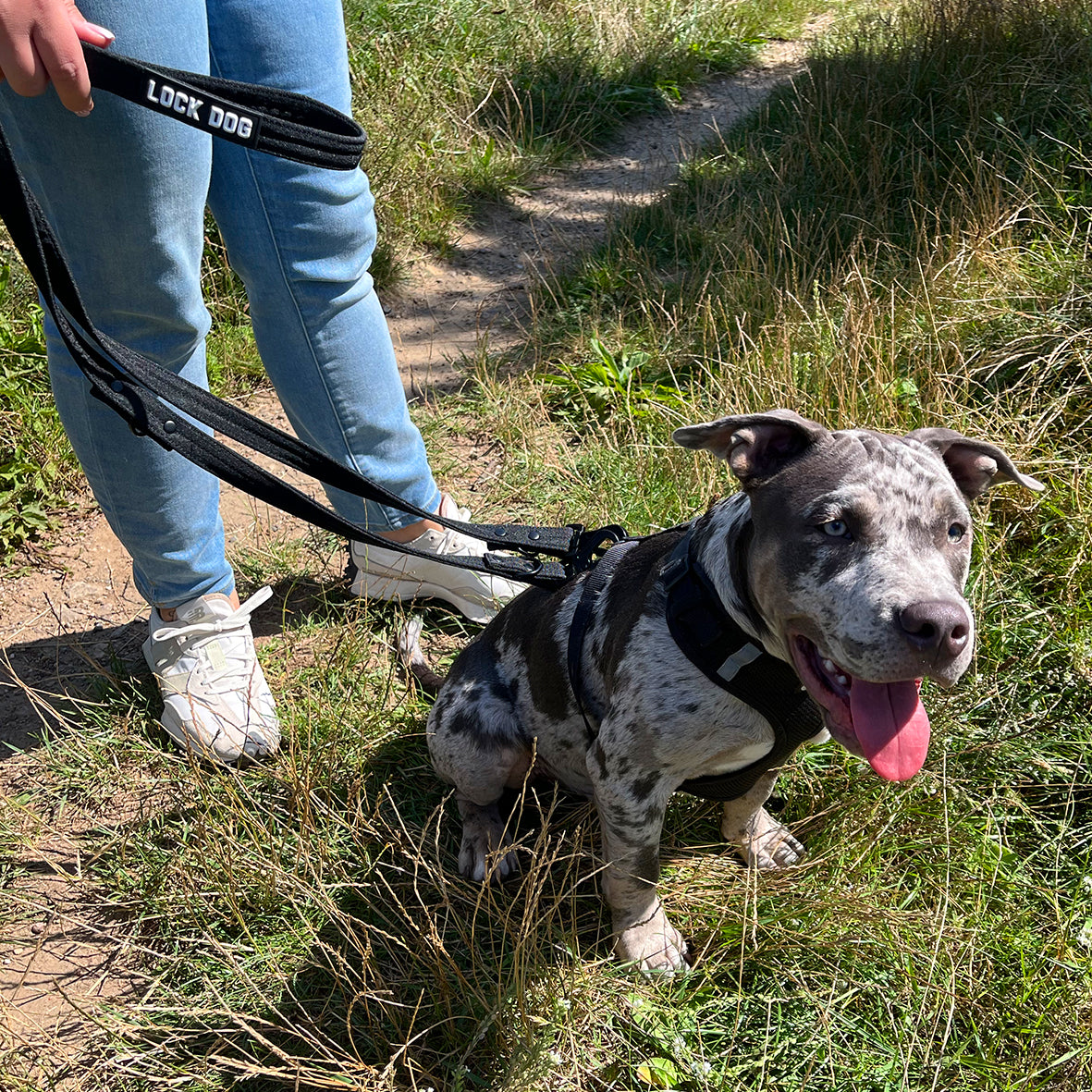 LOCK DOG bissfeste Hundeleine mit Klick-Karabiner