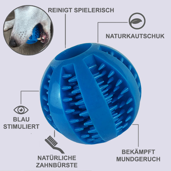 <tc>dental care ball</tc>