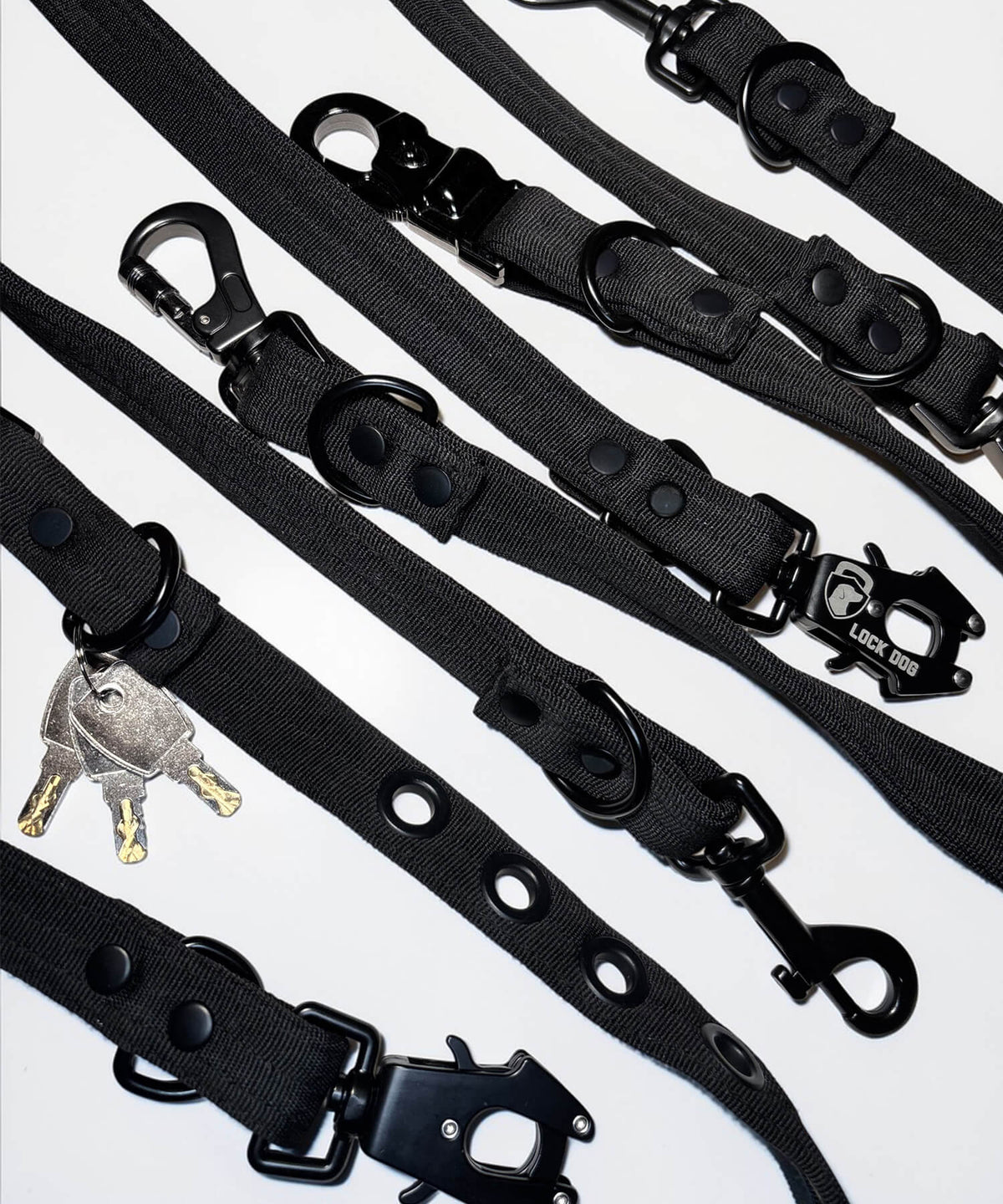 bite- and theftproof dogleash – LOCK DOG
