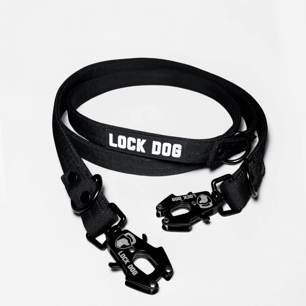 LOCK DOG bite-proof dog leash with frog clip