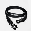 LOCK DOG bite-proof dog leash with frog clip