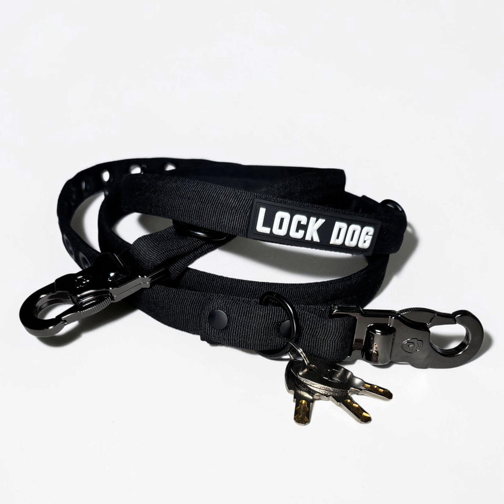 LOCK DOG dog leash 2.0 bite- and theftproof