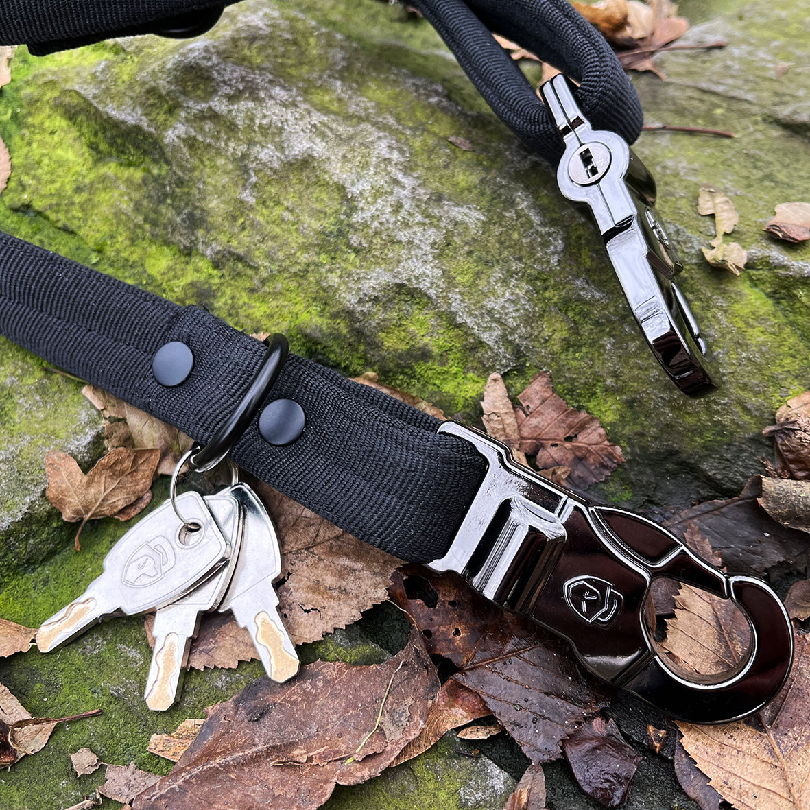 LOCK DOG Hundeleine & Halsband 2.0 abschließbar und bissfest