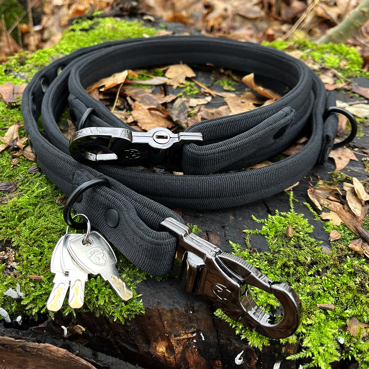 bissfeste Hundeleine + Hunde- und Katzenbürste