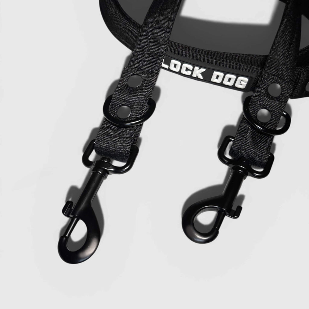 LOCK DOG bite-proof dog leash with bolt carabiner