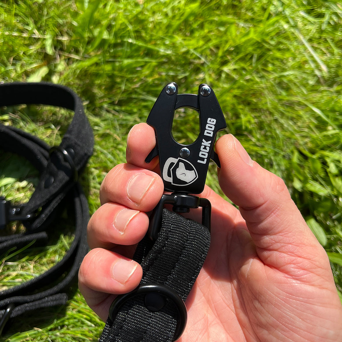 LOCK DOG bissfeste Hundeleine mit Frosch-Clip