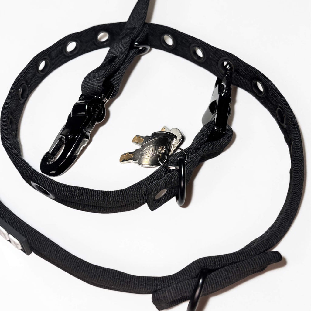 LOCK DOG dog leash 2.0 bite- and theftproof