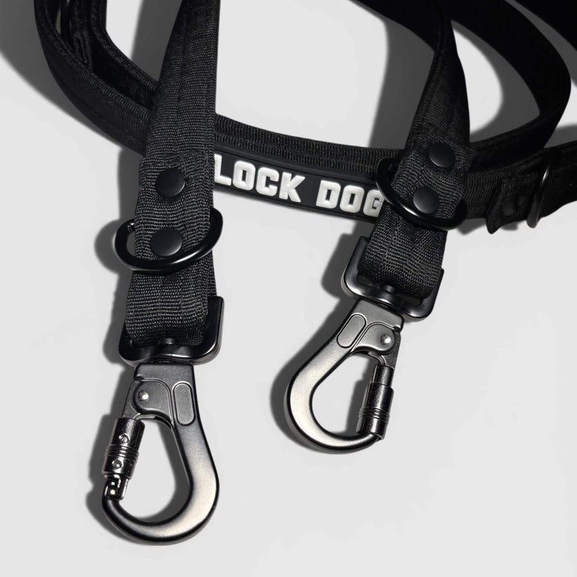 bite- and theftproof dogleash – LOCK DOG