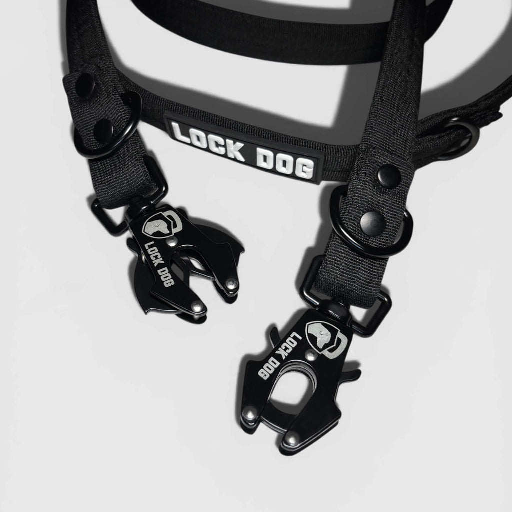LOCK DOG bite-proof dog leash with frog clip