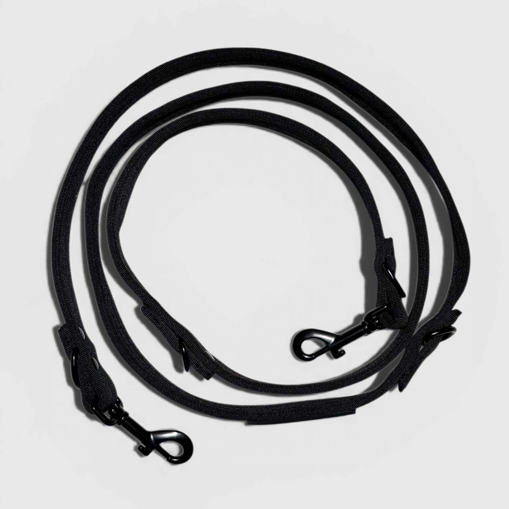 LOCK DOG bite-proof dog leash with bolt carabiner