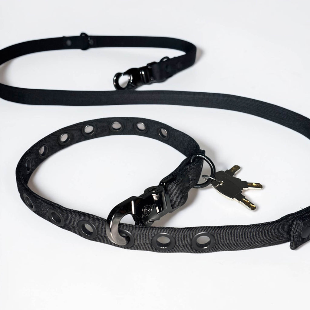 LOCK DOG dog leash 2.0 bite- and theftproof