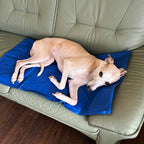 360 dog waste bags biodegradable 