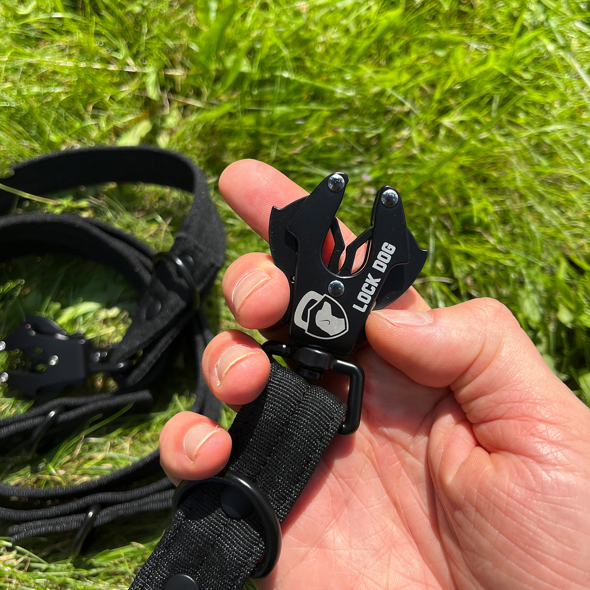 LOCK DOG bissfeste Hundeleine mit Frosch-Clip