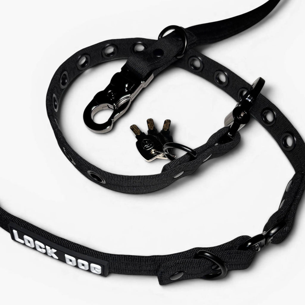 LOCK DOG diebstahlsichere Hundeleine inkl. Halsband