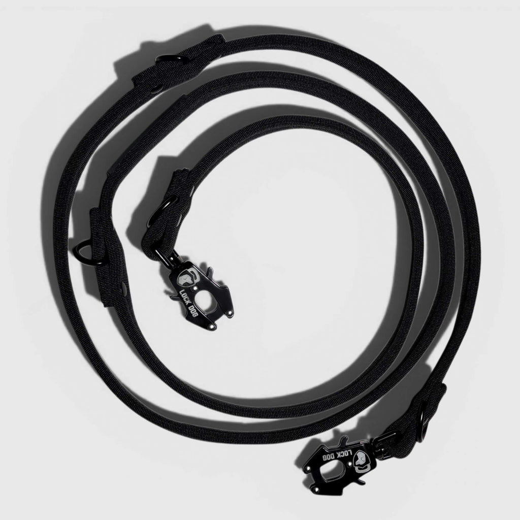 LOCK DOG bite-proof dog leash with frog clip