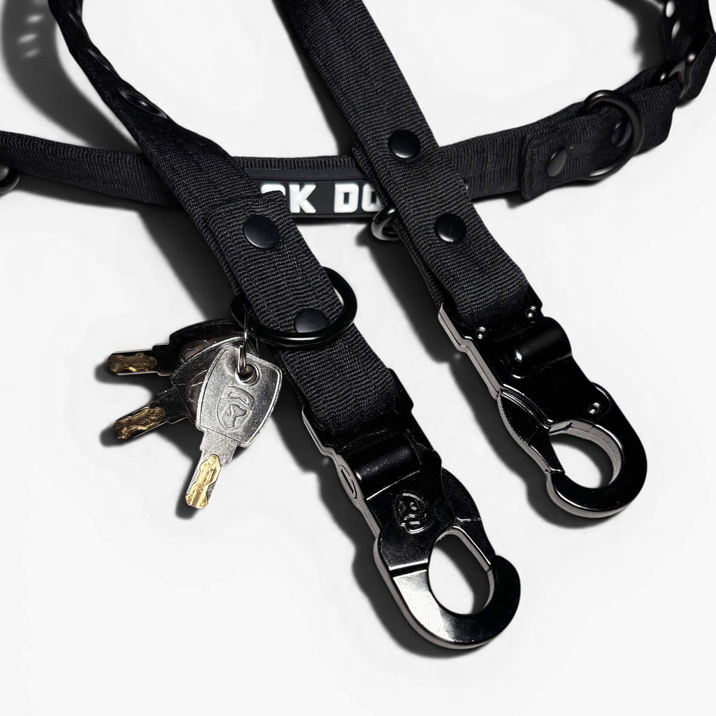 LOCK DOG diebstahlsichere Hundeleine inkl. Halsband