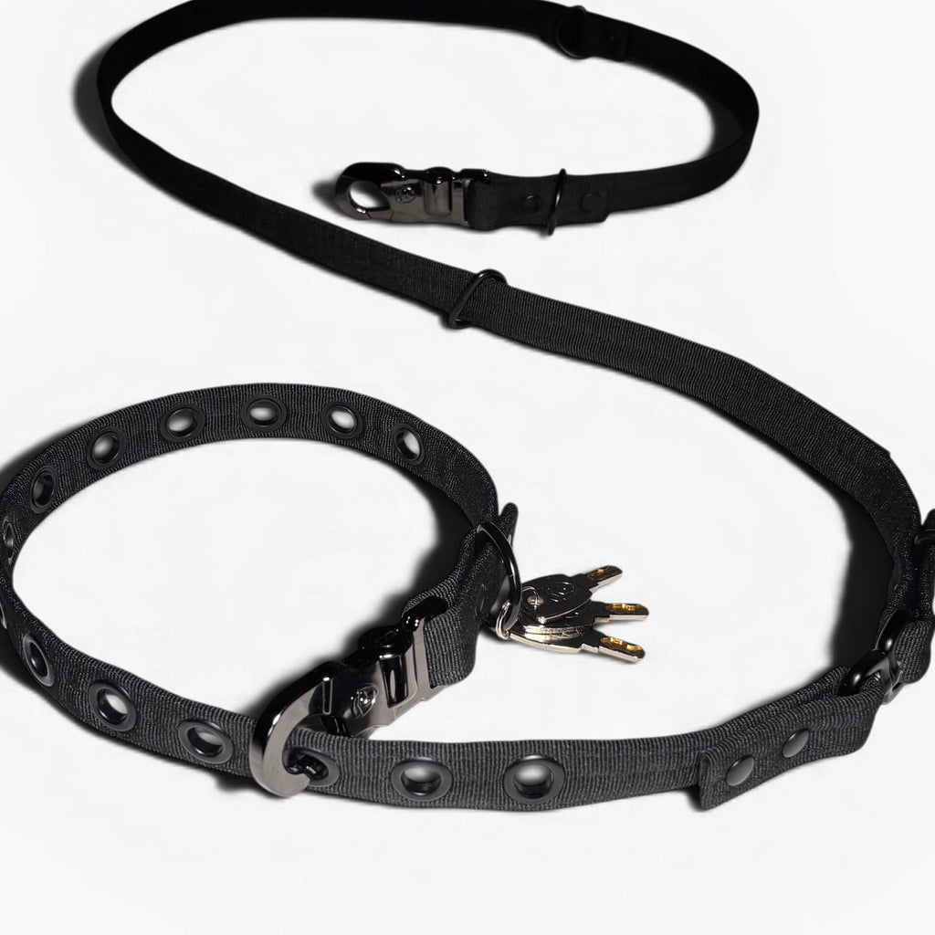 LOCK DOG diebstahlsichere Hundeleine inkl. Halsband