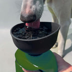 drinking bottle