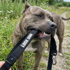 LOCK DOG bissfeste Hundeleine mit Karabiner