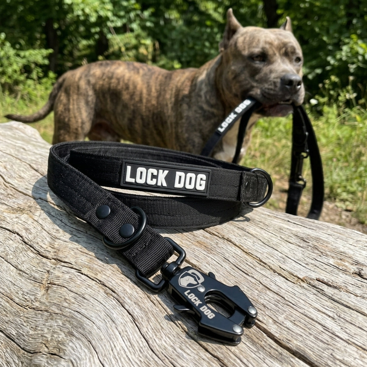 LOCK DOG bite-proof dog leash with frog clip