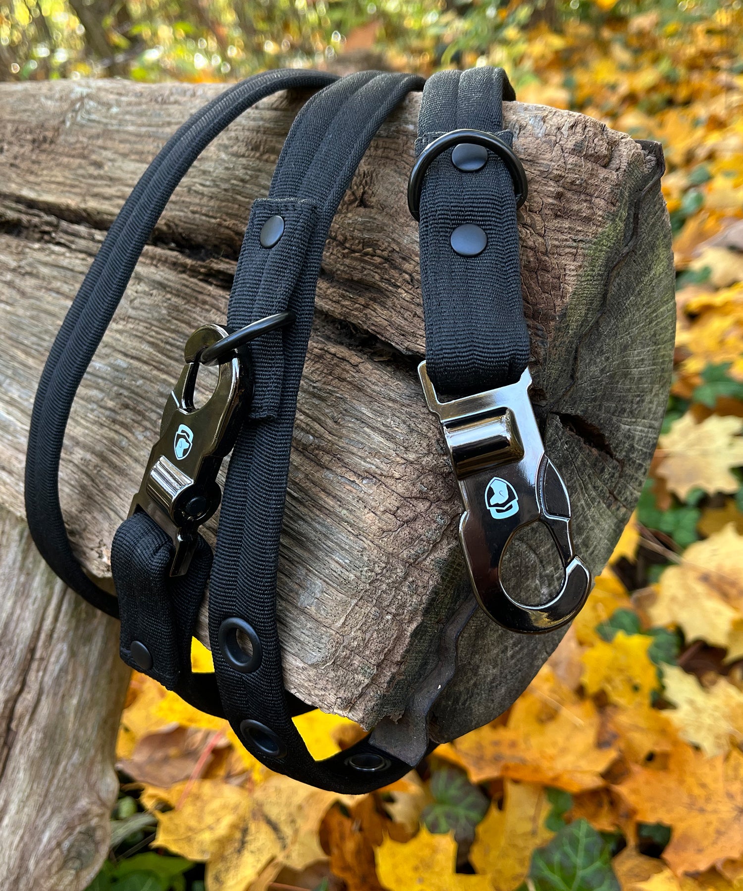 Safely Secured Anti-Theft Lockable Dog Collar