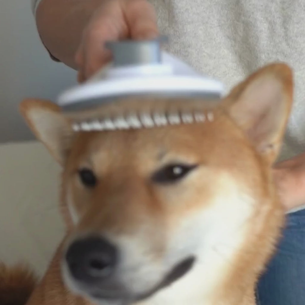 <tc>self-cleaning brush for dogs and cats - long fur</tc>