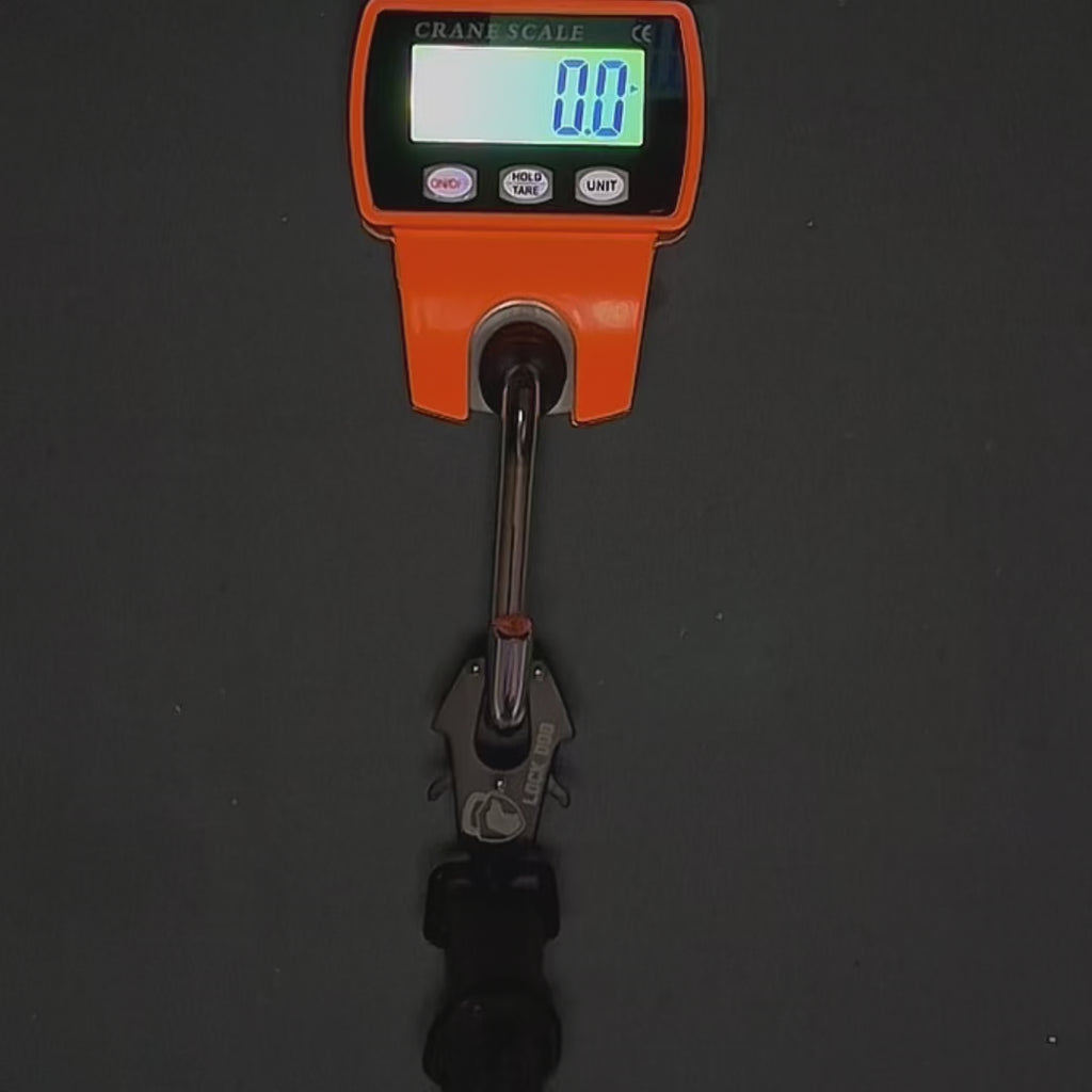 LOCK DOG bite-proof dog leash with frog clip