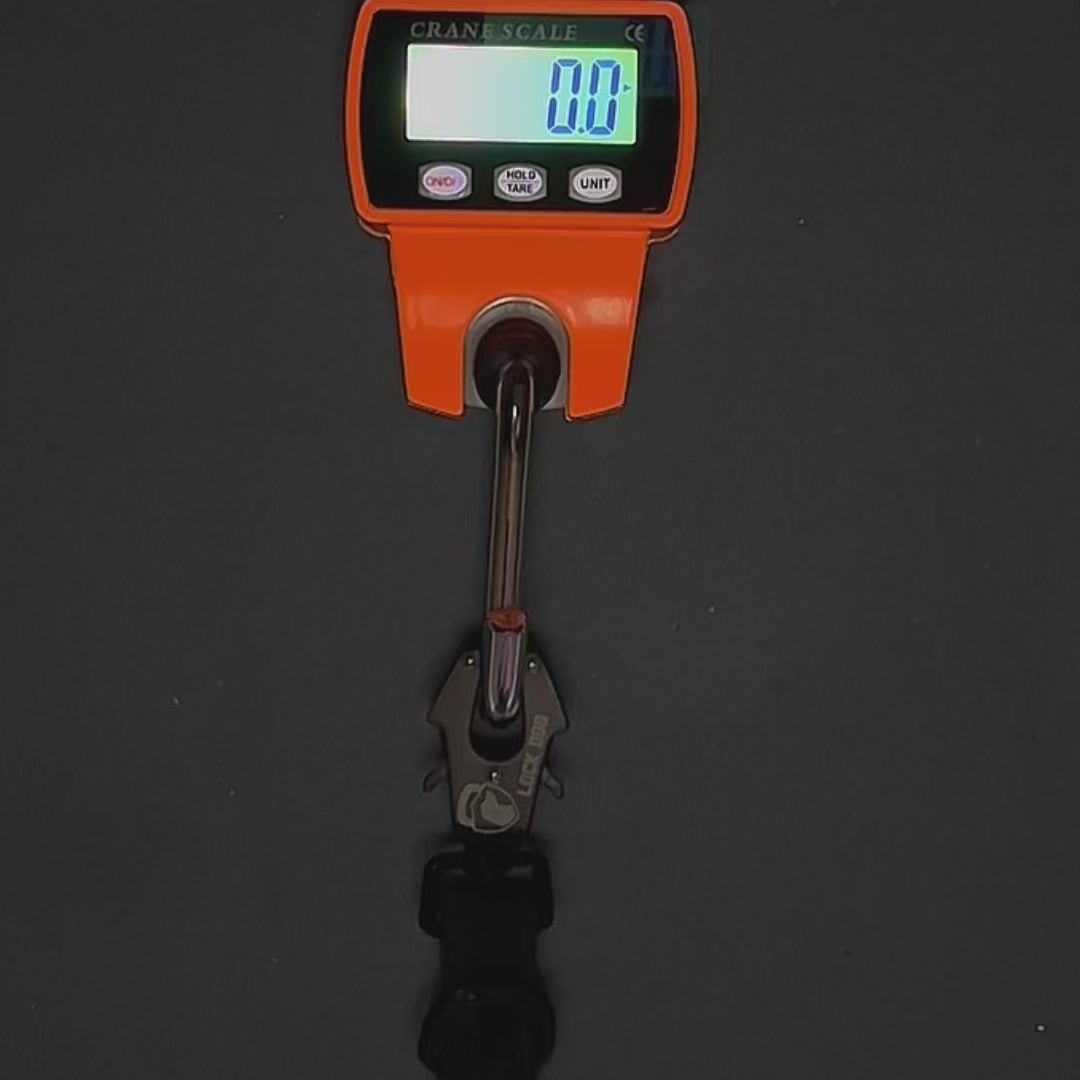 LOCK DOG bite-proof dog leash with frog clip