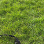 LOCK DOG dog leash 2.0 bite- and theftproof