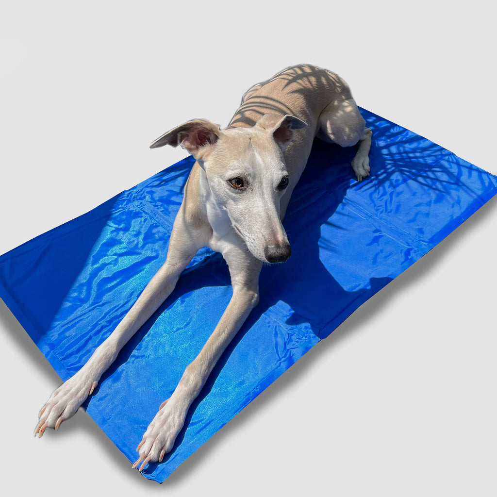 360 dog waste bags biodegradable 