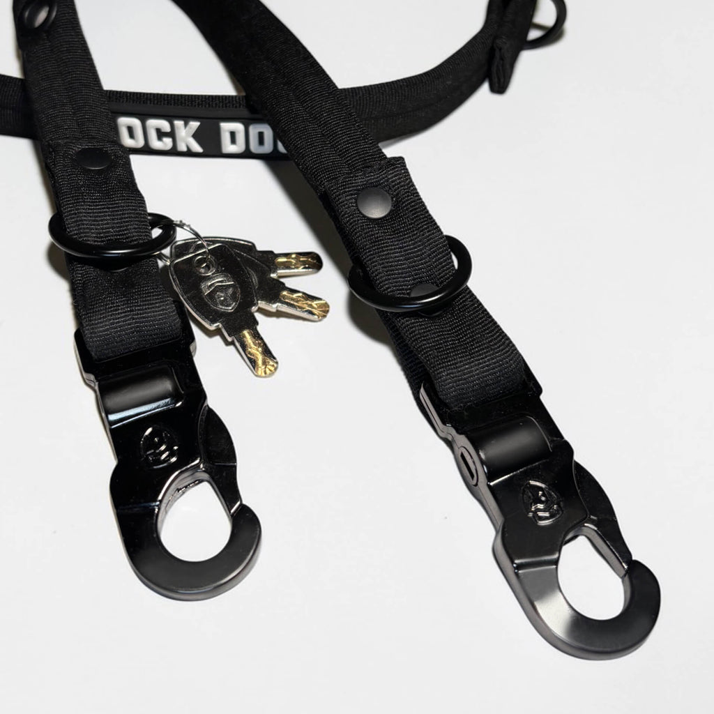LOCK DOG dog leash 2.0 bite- and theftproof