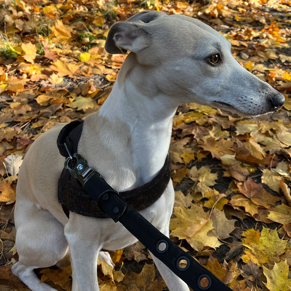 LOCK DOG Hundeleine 2.0 abschließbar und bissfest 48,99