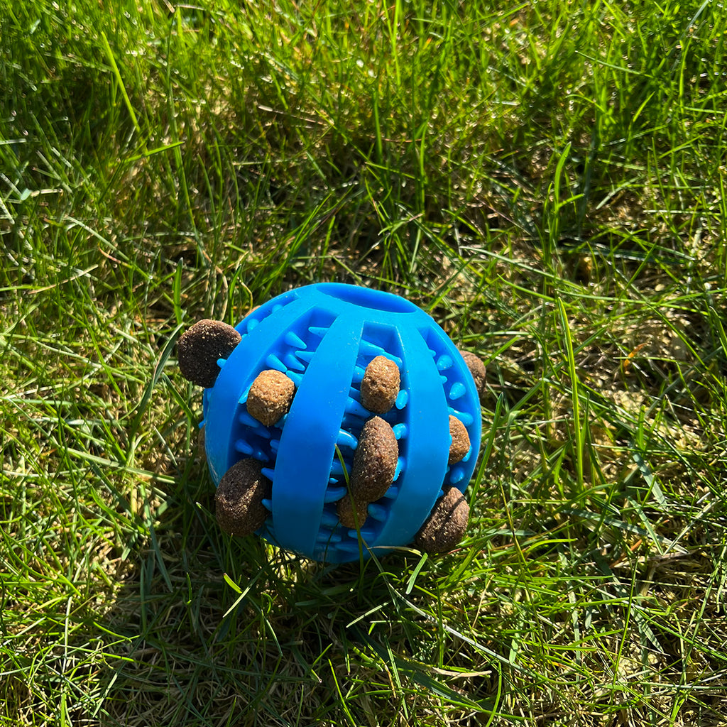 <tc>dental care ball</tc>