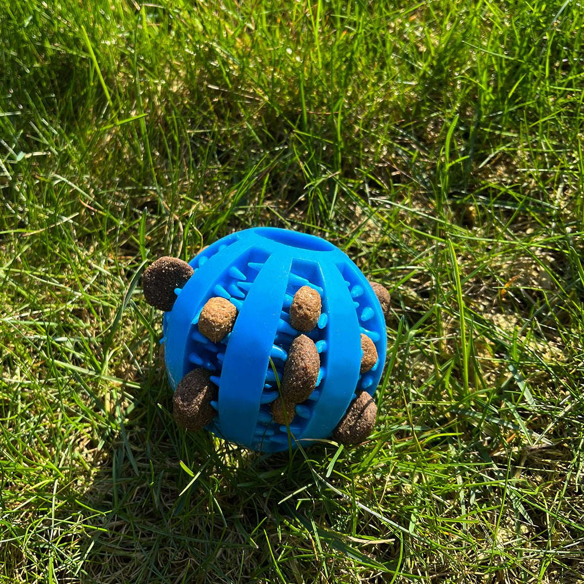 <tc>dental care ball</tc>
