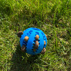 <tc>dental care ball</tc>