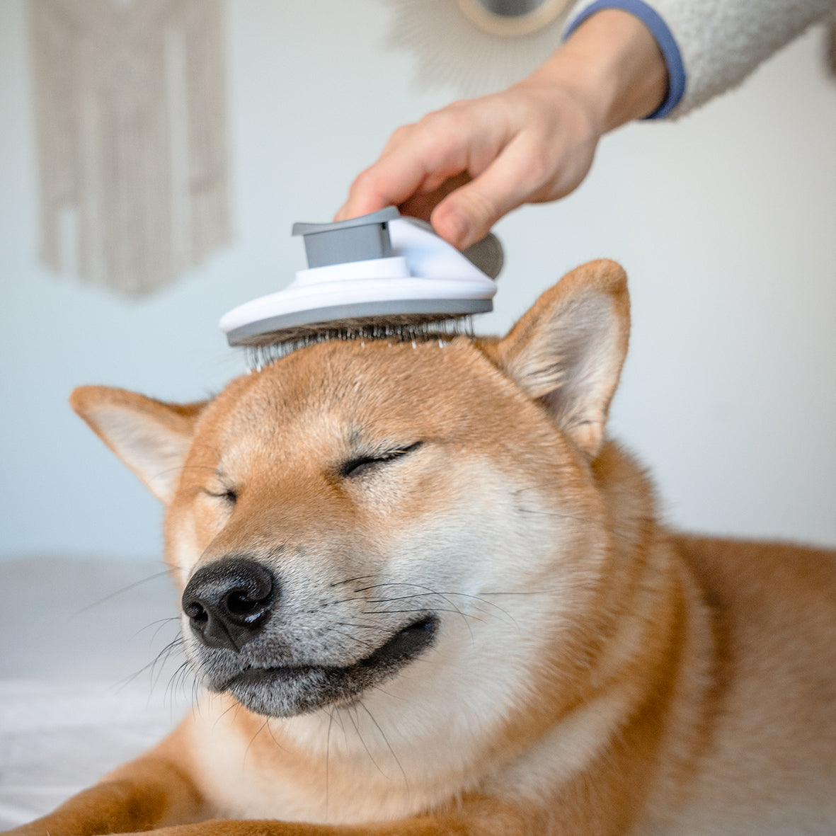 <tc>self-cleaning brush for dogs and cats - long fur</tc>
