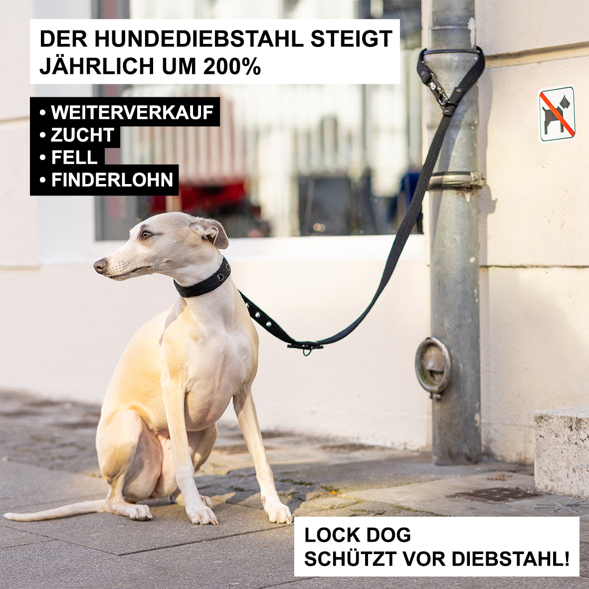 LOCK DOG dog leash 2.0 bite- and theftproof